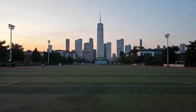 软件团队在项目中的适用条件与使用场景分析